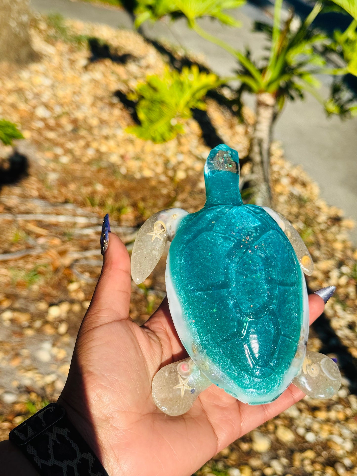 Kustom Turtle
