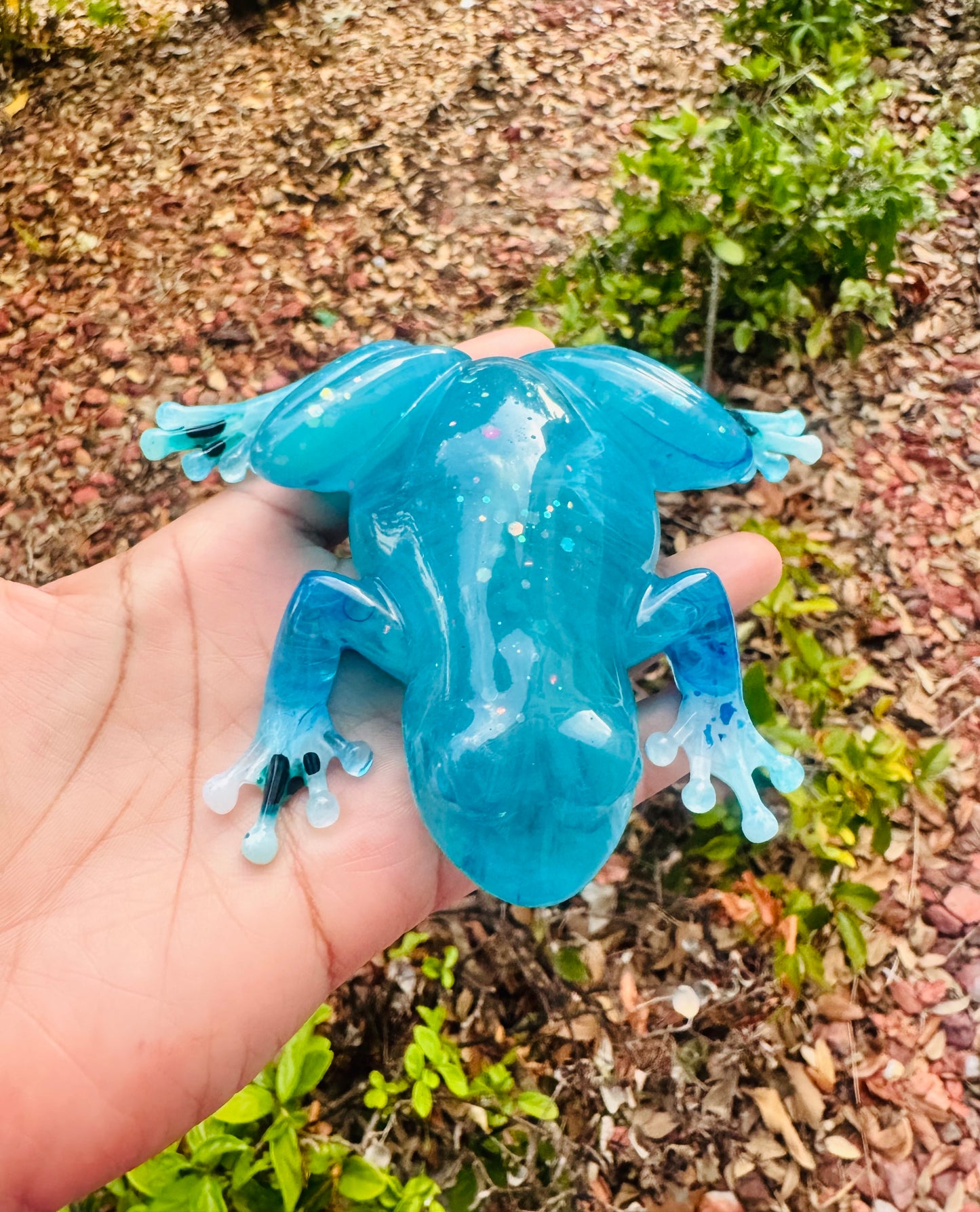 Capri glowing frog