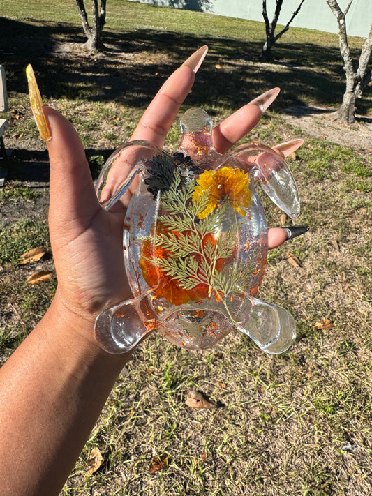 Kustom Turtle